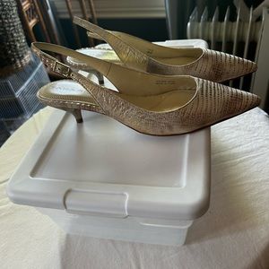 Small heeled taharis